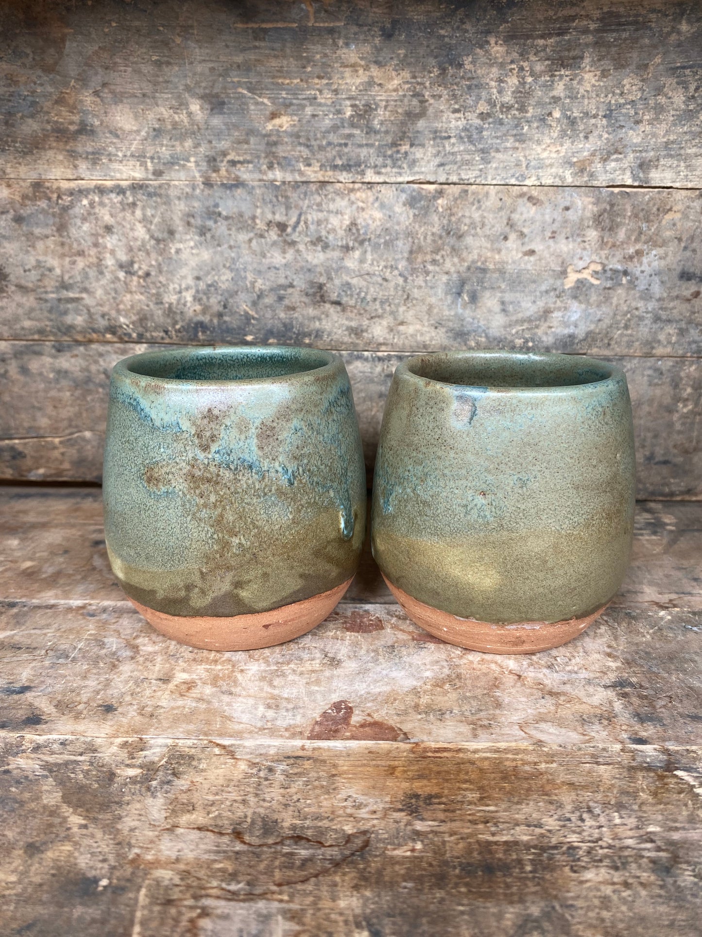 Wild Clay Moss Tumbler