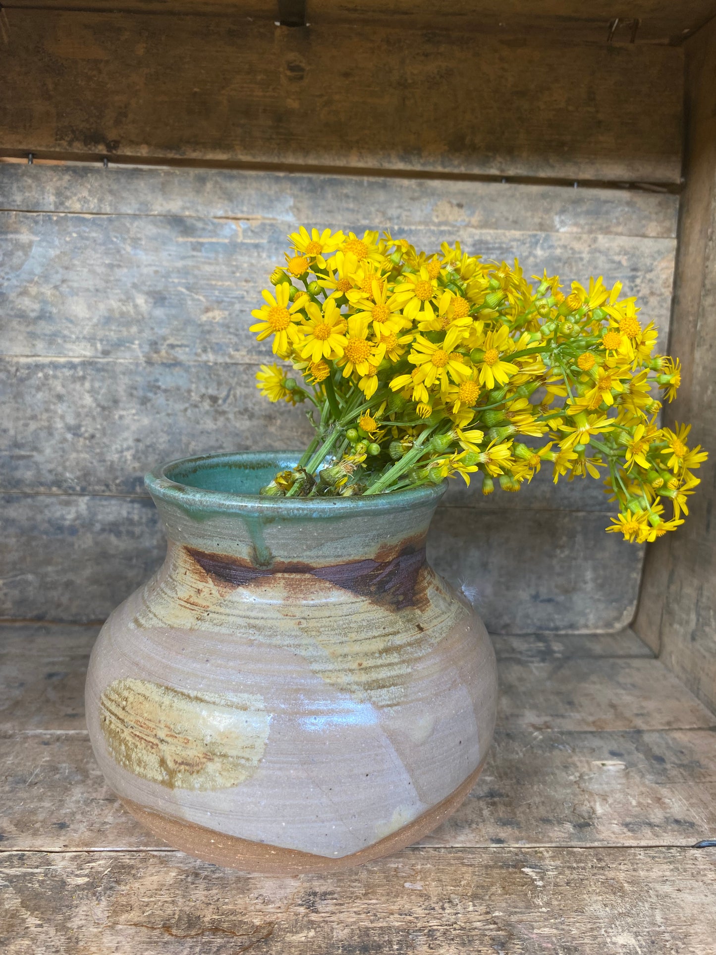 Wild Clay Vase
