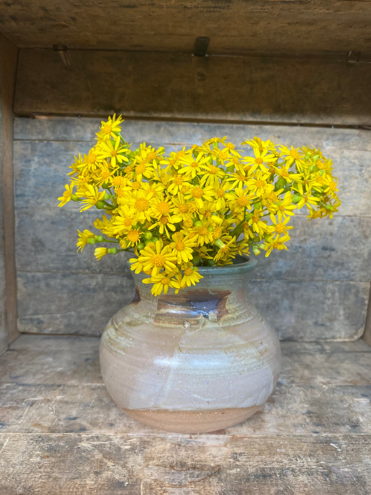 Wild Clay Vase