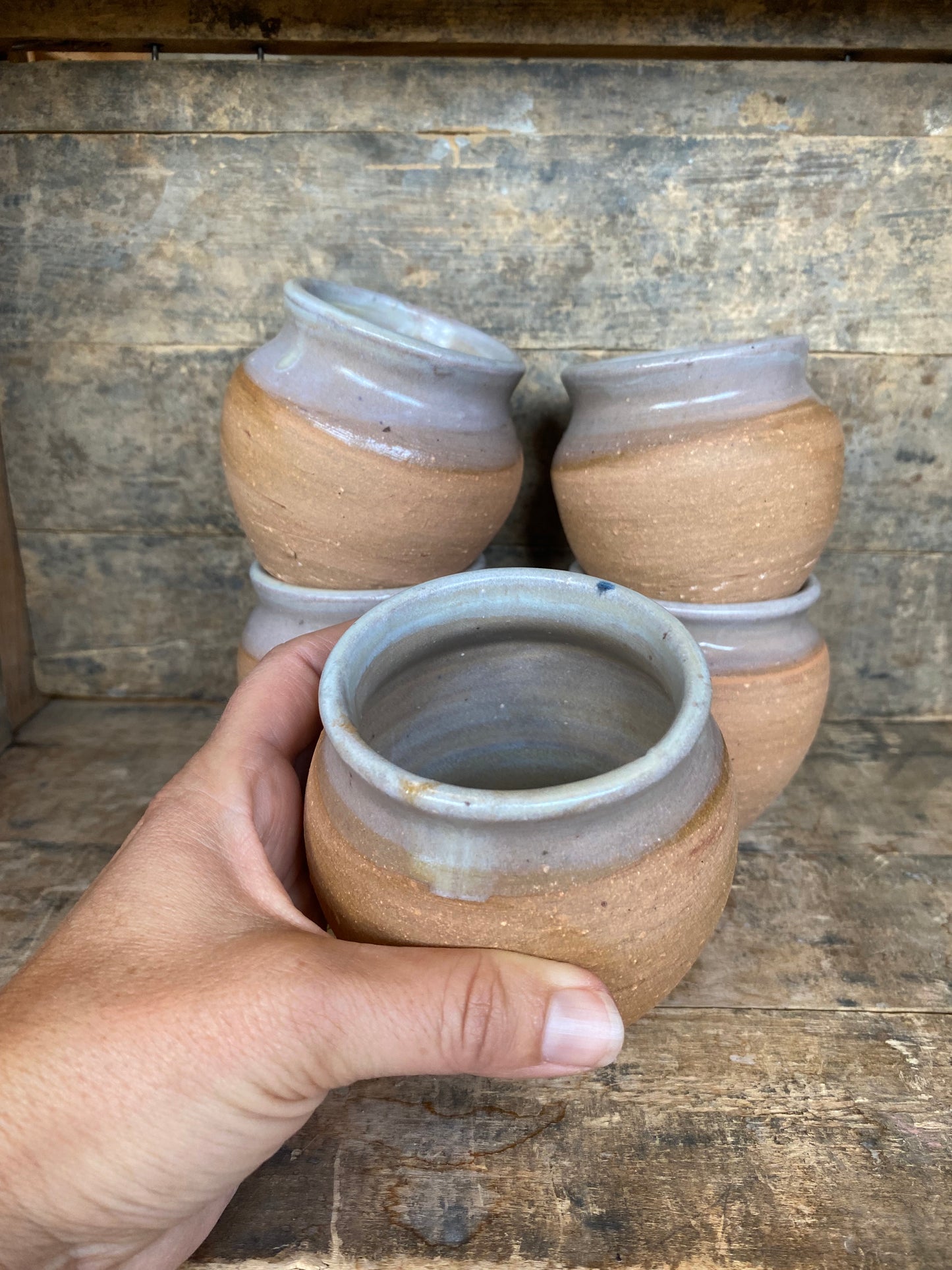 Wild Clay Cup