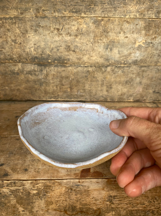 Hand Built Dish (Wild Clay)