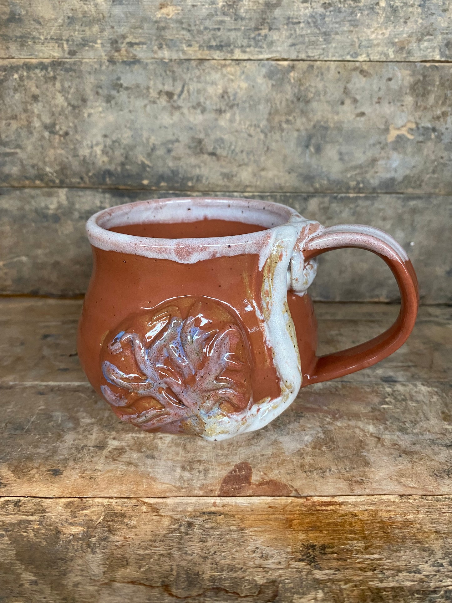 Earth Placenta Mug