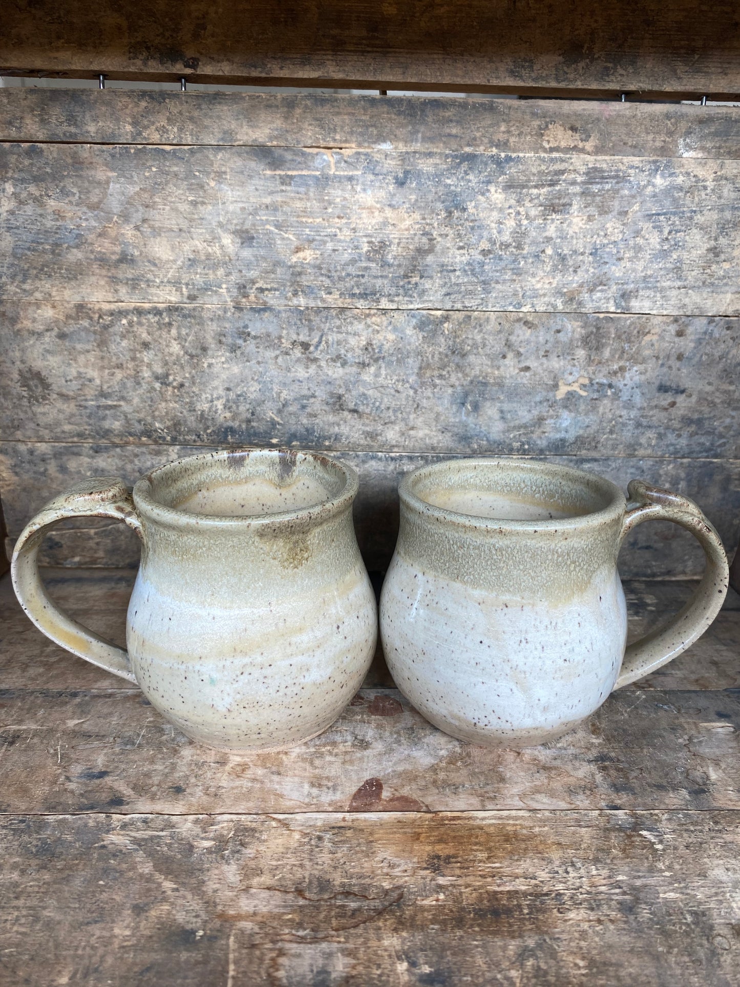 Seashell Mug