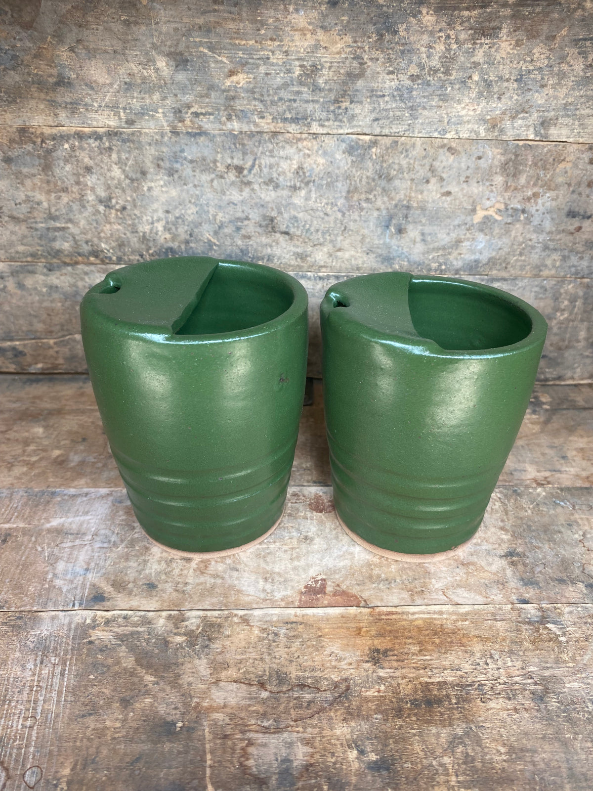 Ribbed Forest Sipper